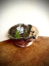 Load image into Gallery viewer, WAZ