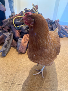 VIP CHICKEN (Hyperrealistic)
