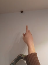 Load image into Gallery viewer, I Don&#39;t Know Anything About the Snail
