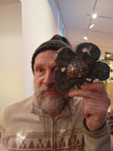 Load image into Gallery viewer, Paul
