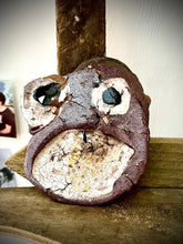 Load image into Gallery viewer, VIEOLA
