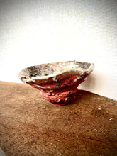 Load image into Gallery viewer, WEP NARX
