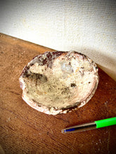 Load image into Gallery viewer, SECKS
